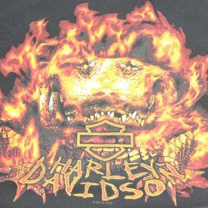 Harley Davidson 2010 Orlando Florida Men's Shirt L